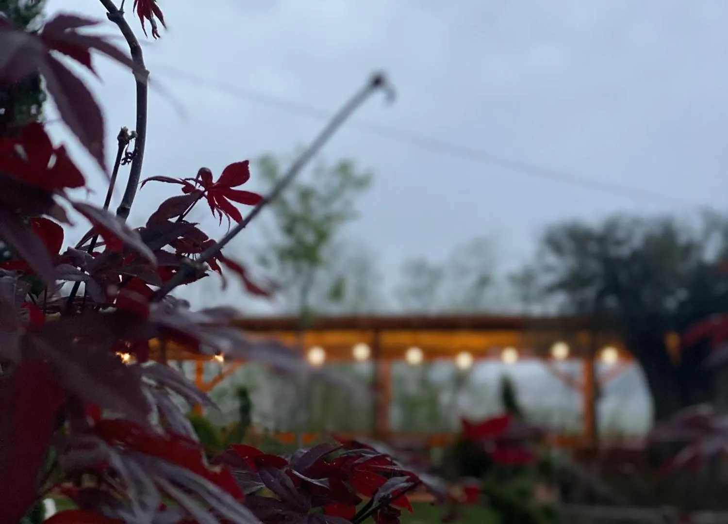 Hotel Restaurant Natyra E Qete Lezhë Albanien